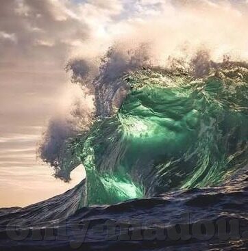 2018免费伦理-2018年免费伦理的实践与思考
