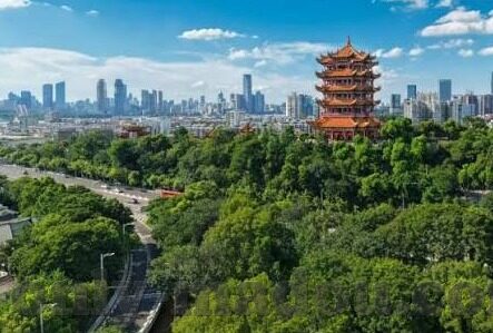 大象传媒app下载最新版-探索大象传媒app，最新版下载指南与体验分享