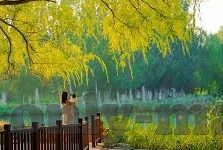 国产精品美女久久久久av麻豆-撩动心弦的风采 —— 国产精品之美