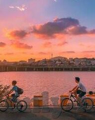 http:麻豆视频.com-探索网络世界的全新视界，麻豆视频的奇妙旅程