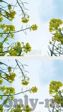 破解版麻豆视频-绿色网络，共享美好——关于版权与网络道德的思索