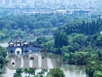 如何下载大象传媒-探索大象传媒的下载之旅，从新手到高手的实用指南