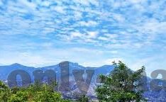 四虎麻豆av-影视艺术中的魅力与界限——四虎麻豆av现象及其引发的思考