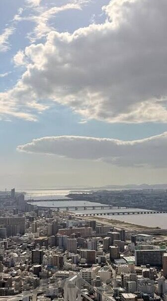 在线麻豆av-揭开网络新视界，在线娱乐内容多样性与风险双面性