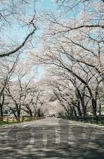 最新果冻传媒破解版-揭秘最新果冻传媒破解版，数字时代的版权与伦理边界